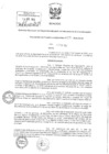 Vista preliminar de documento 1261957644359110066