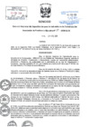 Vista preliminar de documento -762205902038328676