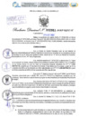 Vista preliminar de documento Resolución Directoral. N° 2961 - 2023 
