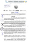 Vista preliminar de documento Resolución Directoral. N° 2962 - 2023 
