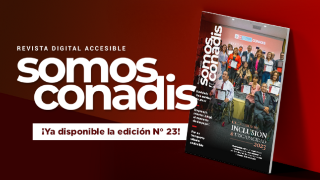 Revista