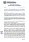 Vista preliminar de documento rj108-ogaf-mdpp-2023