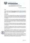 Vista preliminar de documento rj111-ogaf-mdpp-2023
