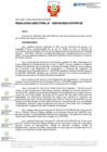 Vista preliminar de documento RD Nº D000163-2023-DE