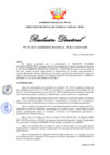 Vista preliminar de documento RD 291-2023