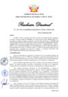 Vista preliminar de documento RD 294-2023