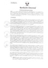 Vista preliminar de documento RESOLUCION DIRECTORAL 295-2023-HCM