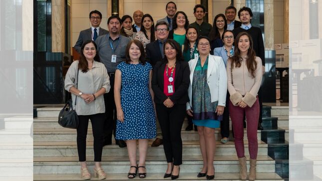 Perú y Brasil intercambian experiencias sobre la inclusión del Shihuahuaco y Tahuarí en el Apéndice II de las CITES