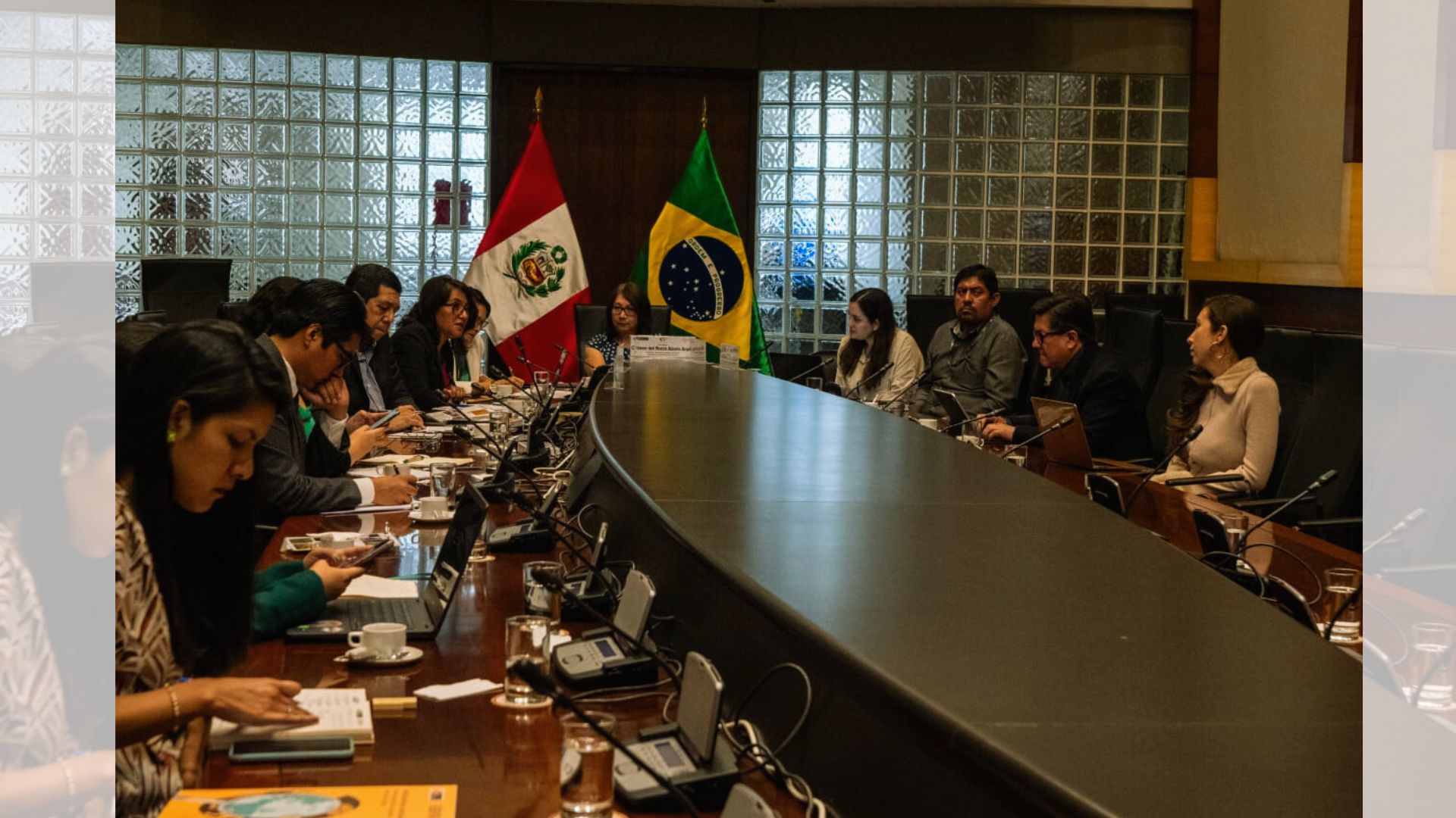 Perú y Brasil intercambian experiencias sobre la inclusión del Shihuahuaco y Tahuarí en el Apéndice II de las CITES