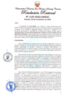 Vista preliminar de documento Resolución Rectoral