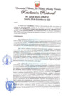Vista preliminar de documento Resolución Rectoral