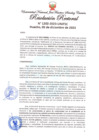 Vista preliminar de documento Resolución Rectoral