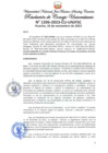 Vista preliminar de documento Resolución de Consejo Universitario