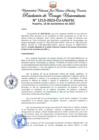 Vista preliminar de documento Resolución de Consejo Universitario