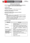 Vista preliminar de documento CAS 019  Analista en  RRHH