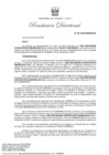 Vista preliminar de documento RD 001