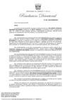 Vista preliminar de documento RD 003
