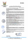 Vista preliminar de documento RA 495-2023-MPHH