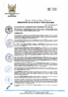 Vista preliminar de documento RA 490-2023-MPHH
