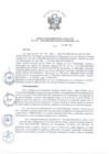 Vista preliminar de documento RDE Nº 393-2023-DE - APROBAR la Directiva General Dl N° 006 -2023-MIDAGRI- DVDAFIR-AGRO RURAL-DE denominada Procedimientos Técnicos para la ejecución del Progra