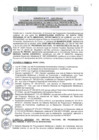 Vista preliminar de documento 003-2021-PRONIS