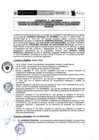 Vista preliminar de documento 005-2021-PRONIS