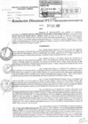 Vista preliminar de documento RD N°0135