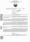Vista preliminar de documento RJ 1077-2023