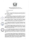 Vista preliminar de documento RDE N 003-2024