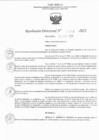 Vista preliminar de documento RJ 1118-2023