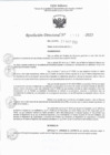Vista preliminar de documento RJ 1119-2023