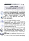 Vista preliminar de documento 004-2020-PRONIS