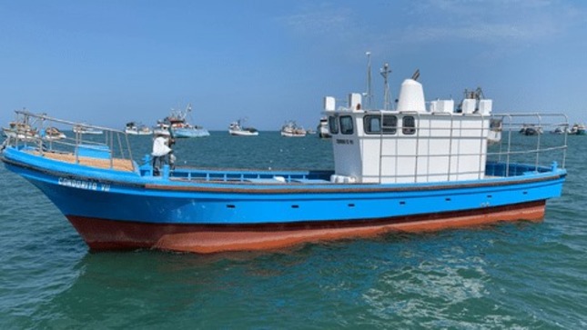 anguila