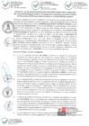 Vista preliminar de documento AD CIP Minam - MD Cerro Colorado