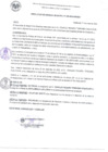 Vista preliminar de documento resoGerenciaMunicipal N° 020-2024