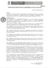 Vista preliminar de documento RAF N° 003-2021