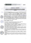 Vista preliminar de documento 011-2020-PRONIS