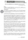 Vista preliminar de documento RAF N° 004-2021