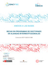 Vista preliminar de documento Anexos Bases - Becas en Programas de Doctorado en Alianzas Interinstitucionales