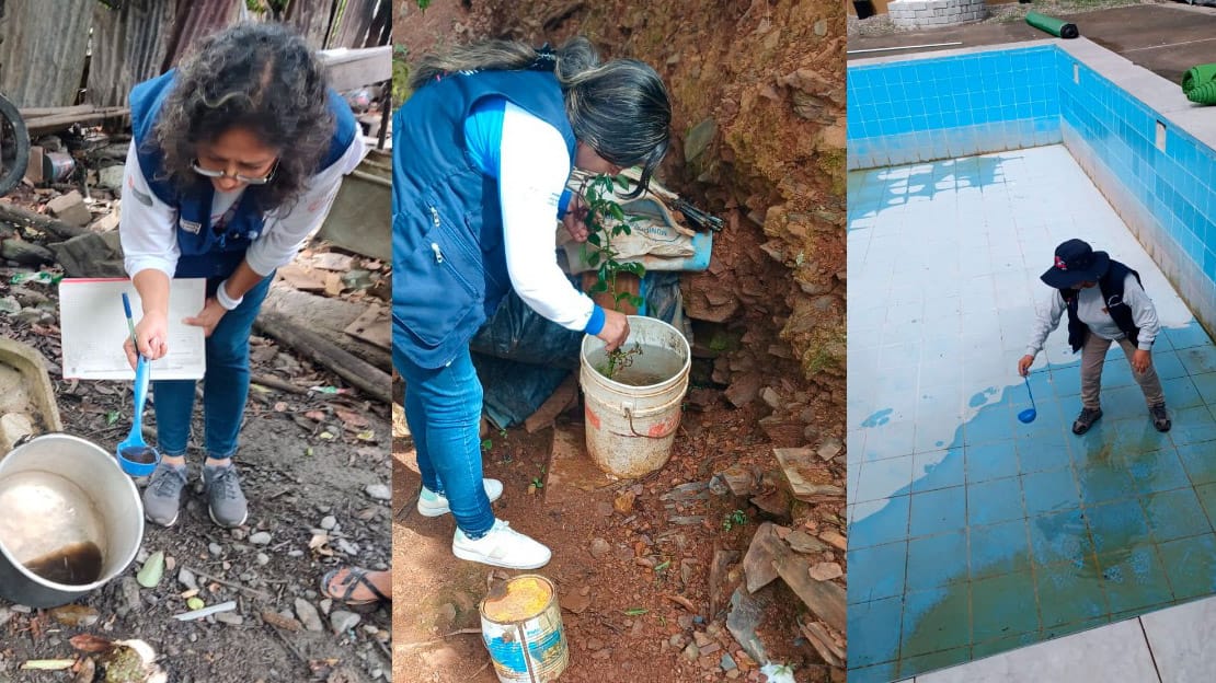 Cusco: más de 9000 viviendas de Quillabamba serán intervenidas para evitar la reproducción del zancudo que transmite el dengue