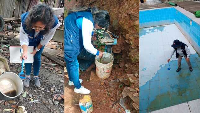 Cusco: más de 9000 viviendas de Quillabamba serán intervenidas para evitar la reproducción del zancudo que transmite el dengue