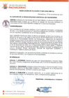 Vista preliminar de documento R.A.294