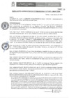 Vista preliminar de documento RAF N° 007-2021