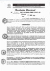 Vista preliminar de documento RJ 1191-2023