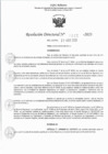 Vista preliminar de documento RJ 1207-2023