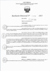 Vista preliminar de documento RJ 1208-2023