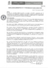 Vista preliminar de documento RAF N° 013-2021