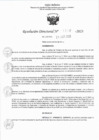 Vista preliminar de documento RJ 1218-2023
