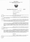 Vista preliminar de documento RJ 1219-2023