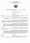 Vista preliminar de documento RJ 1228-2023